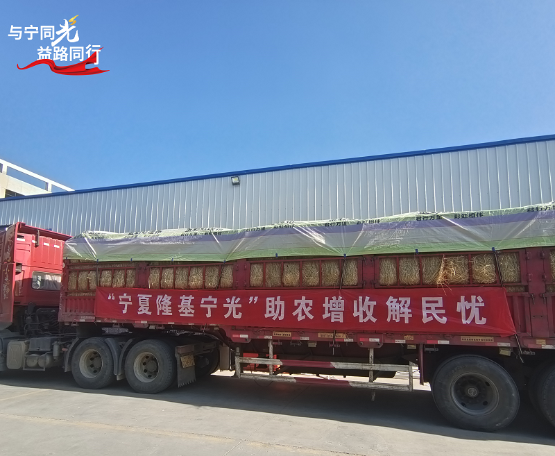 1691639350305324.png c762e2e40aa0ee0c0507260477e1aed.png